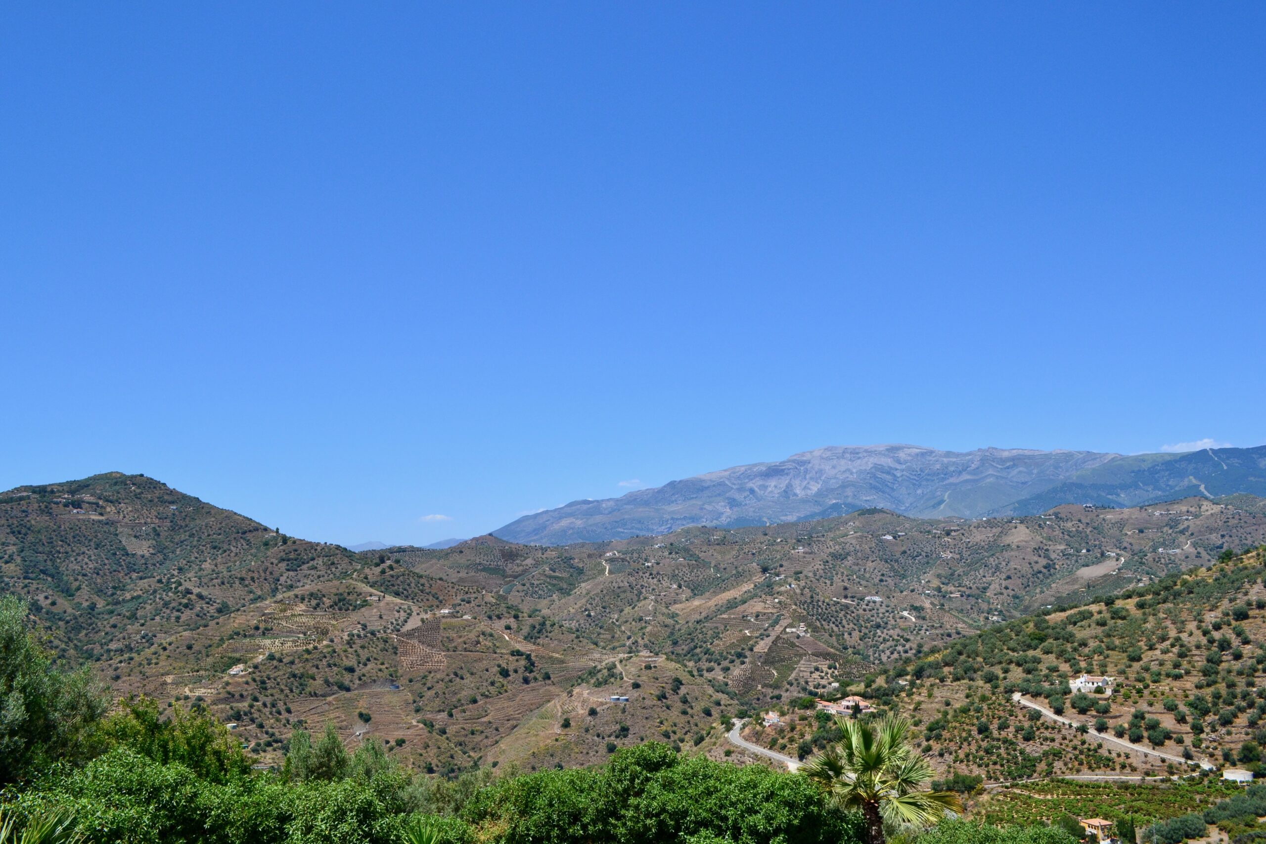 DSC_0206